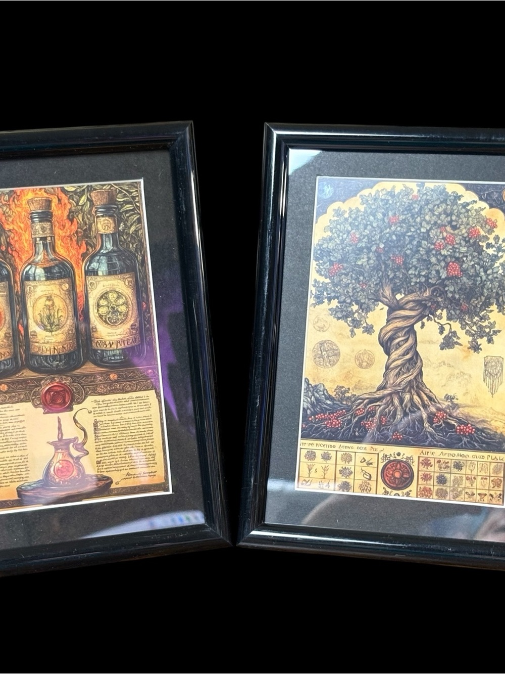 Mystical Apothecary & Tree of Life Framed Art Print Set – 2 Pieces